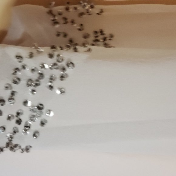 Carole Little Sheer Silk Top ** - Picture 3 of 5